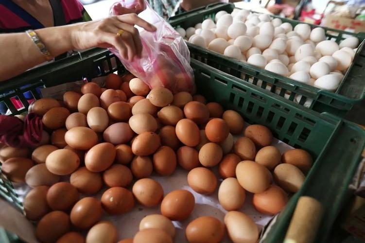 水产品,鸡蛋,水果,豆类,蔬菜等食用农产品共879批次进行了监督抽检